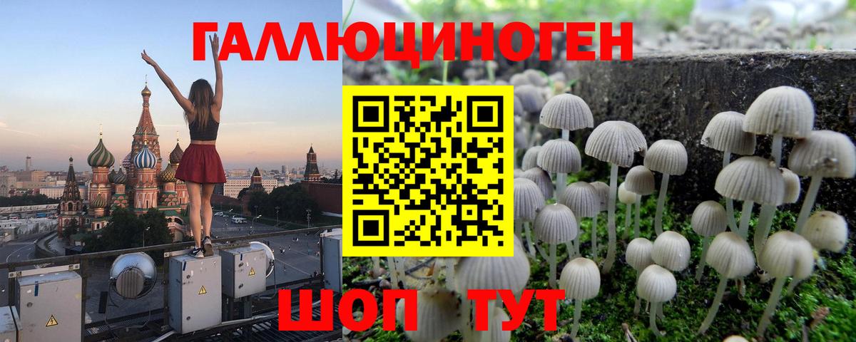 Псилоцибиновые грибы мухоморы Берёзовский